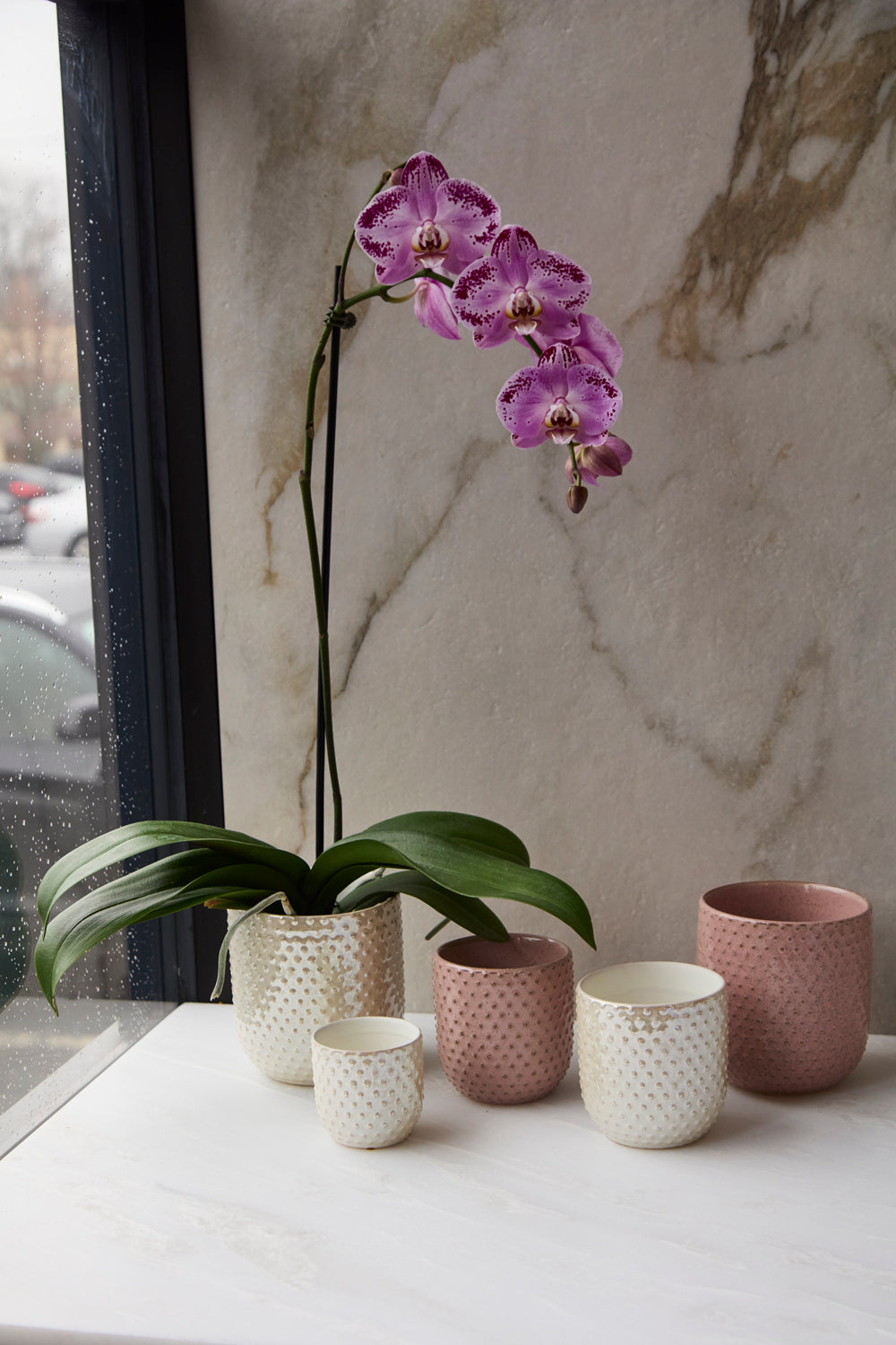 Everly Pot