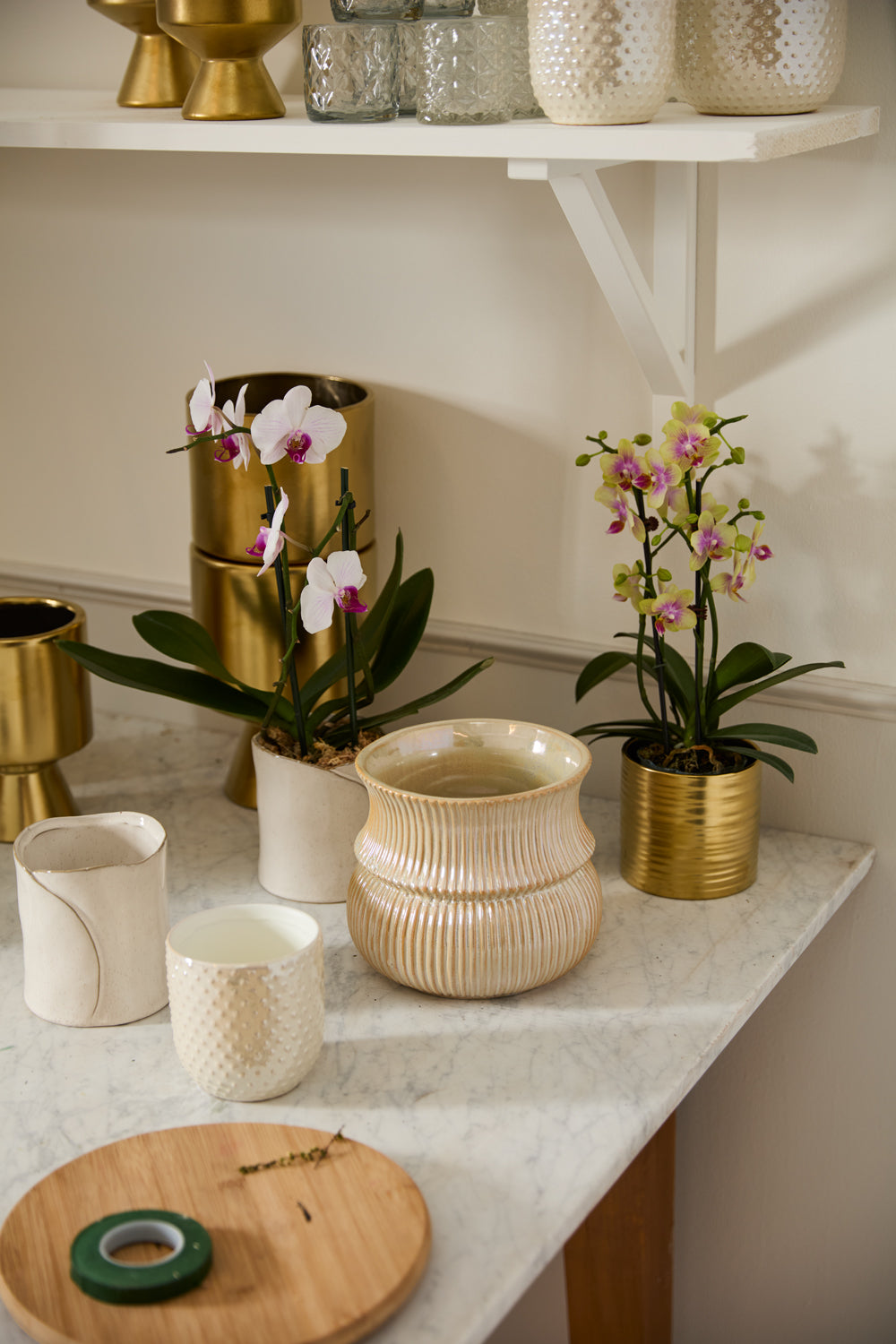 Everly Pot