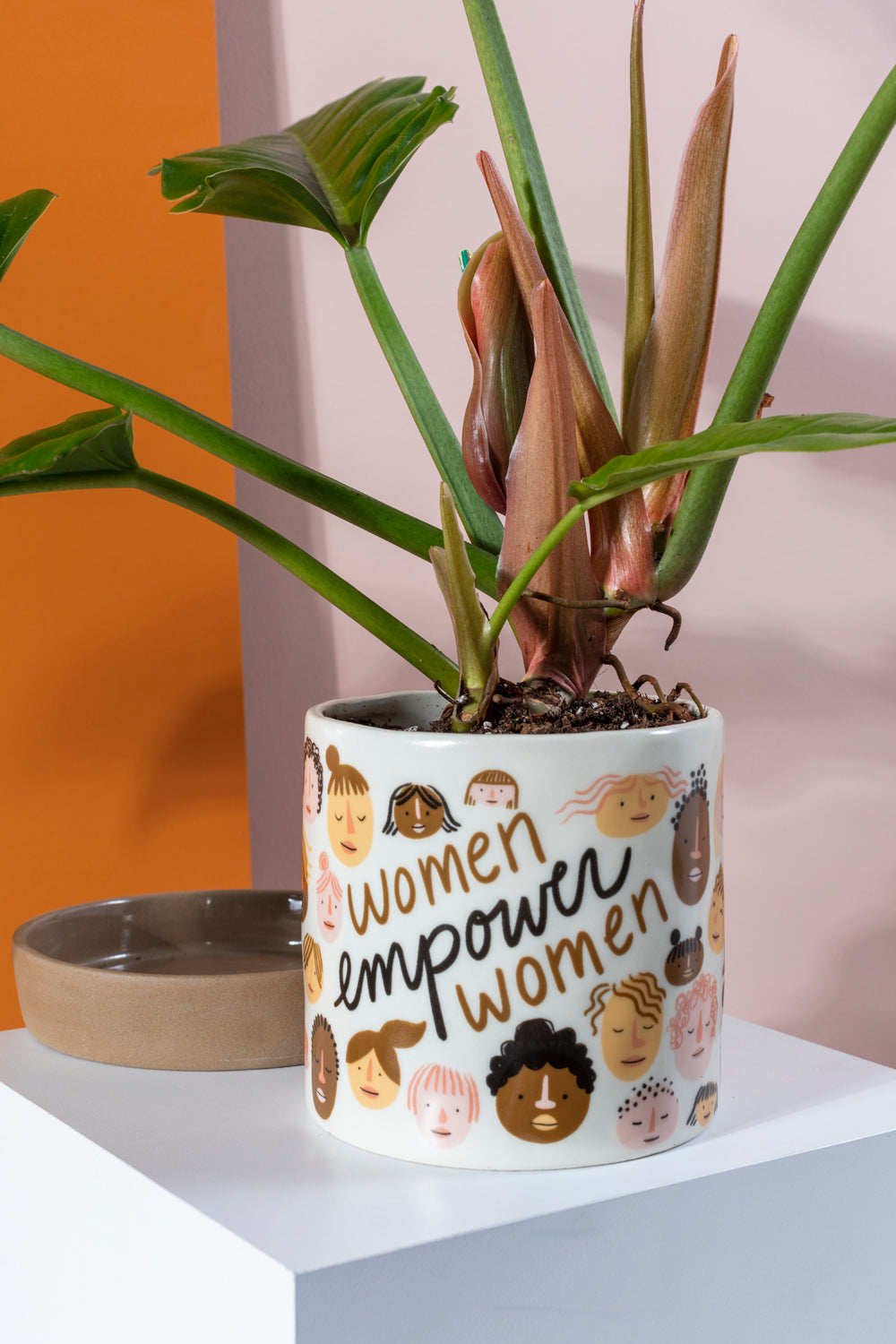 Everybody Pot