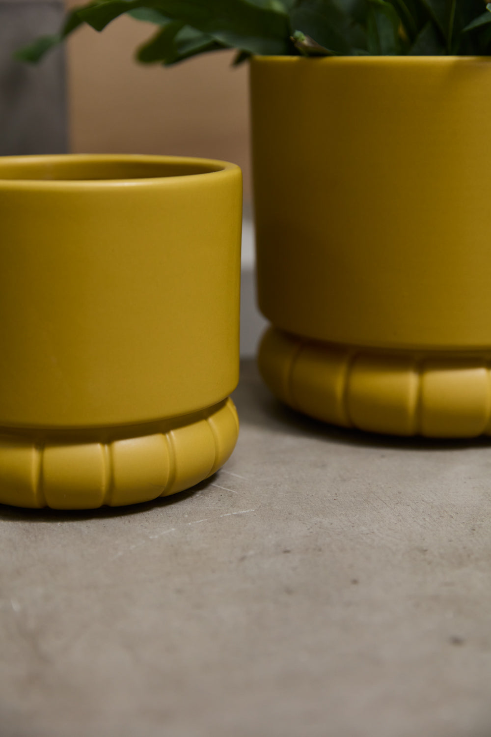 Fara Pot