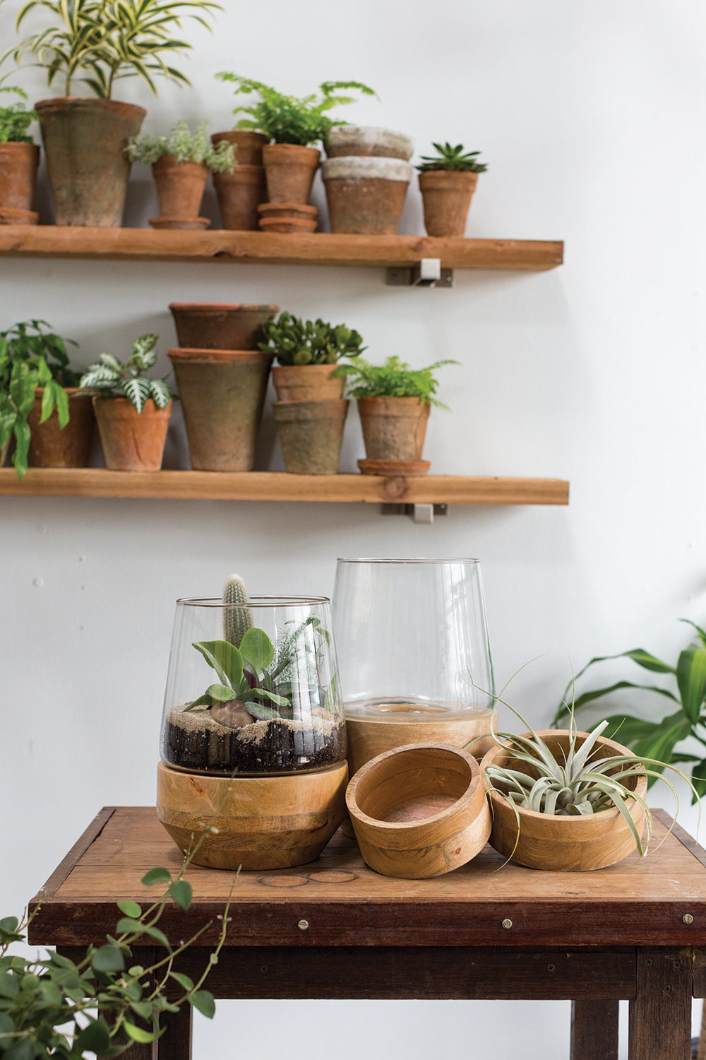 Farmhouse Terrarium