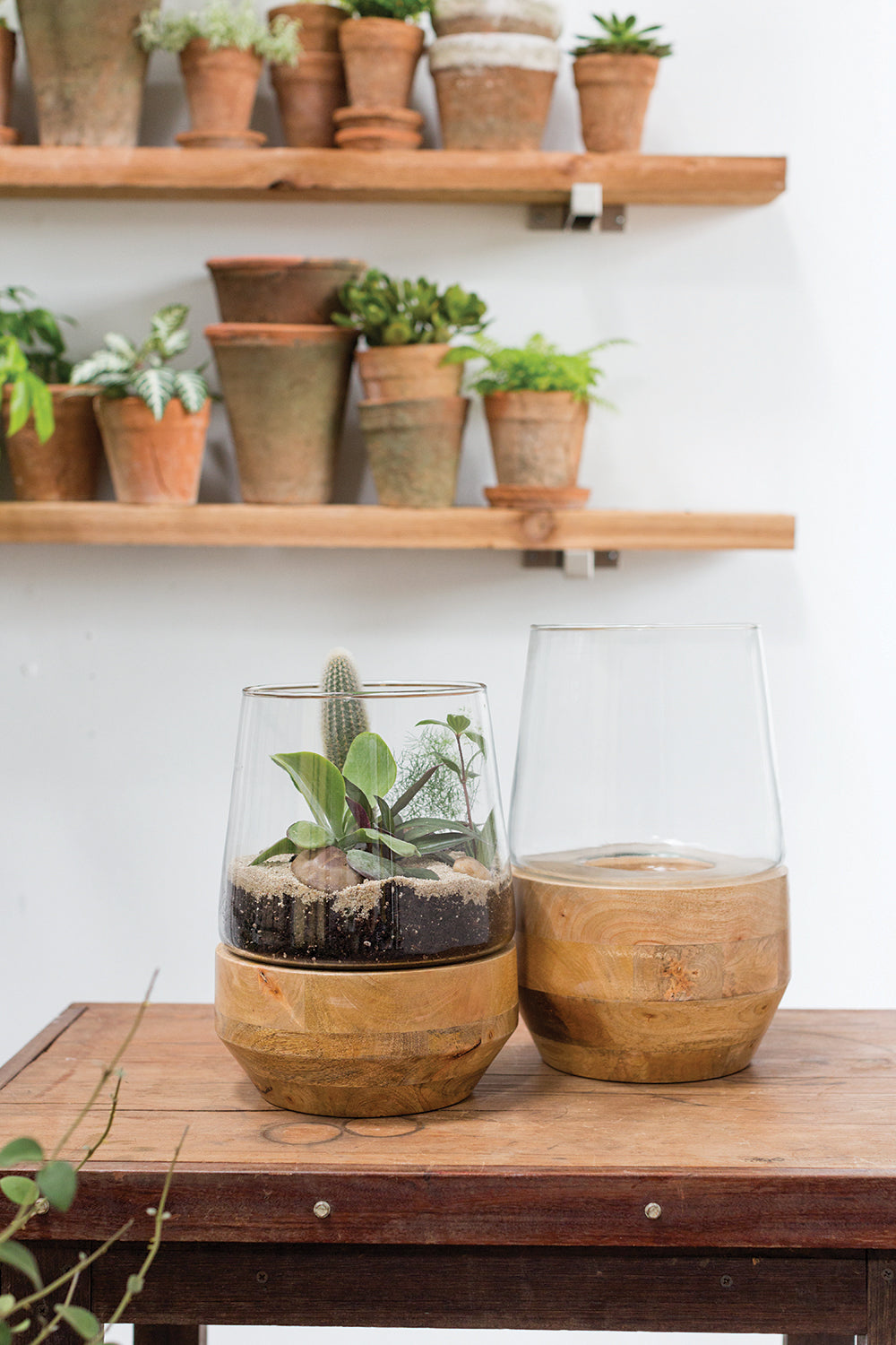 Farmhouse Terrarium