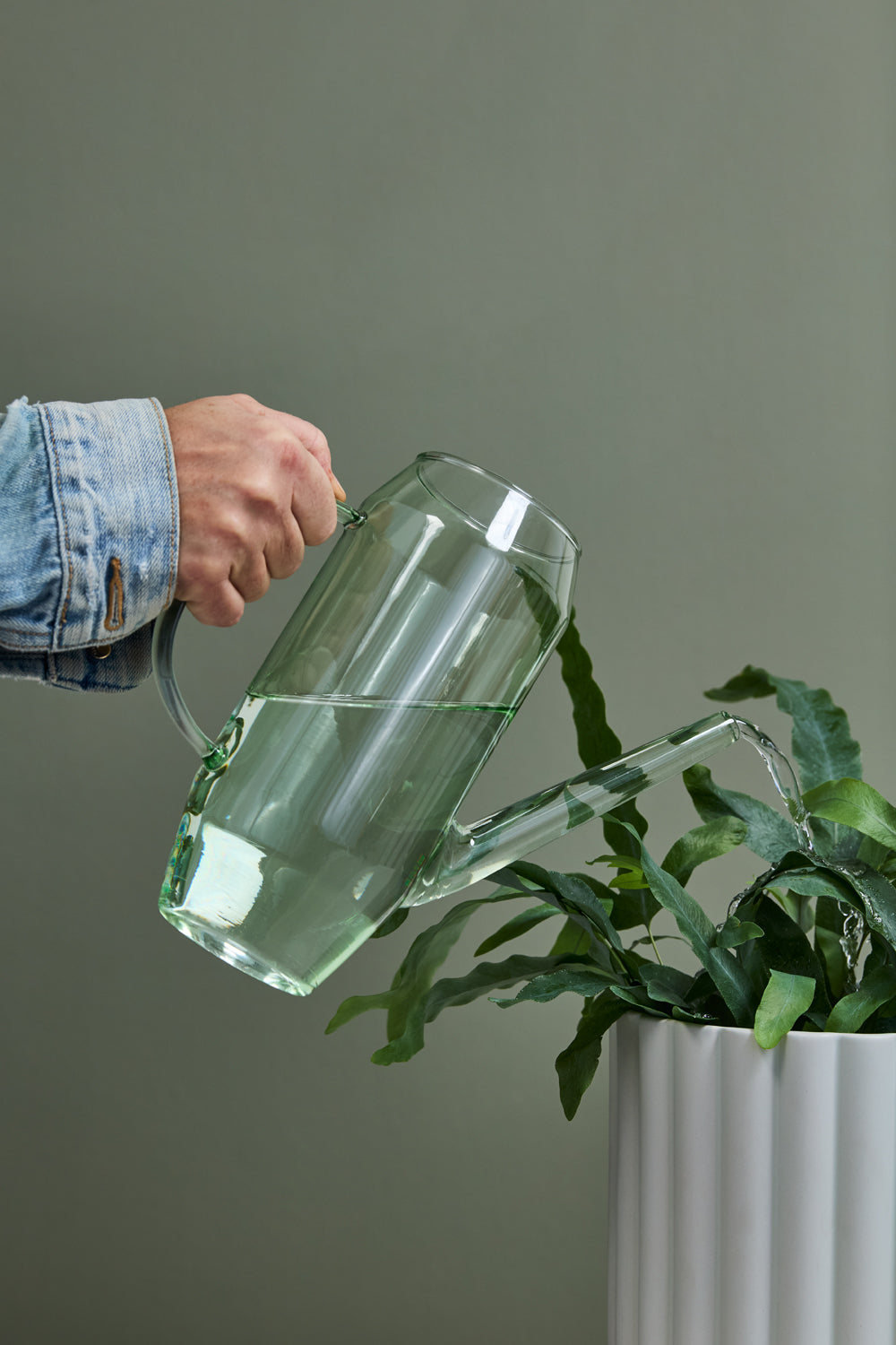Foray Watering Can