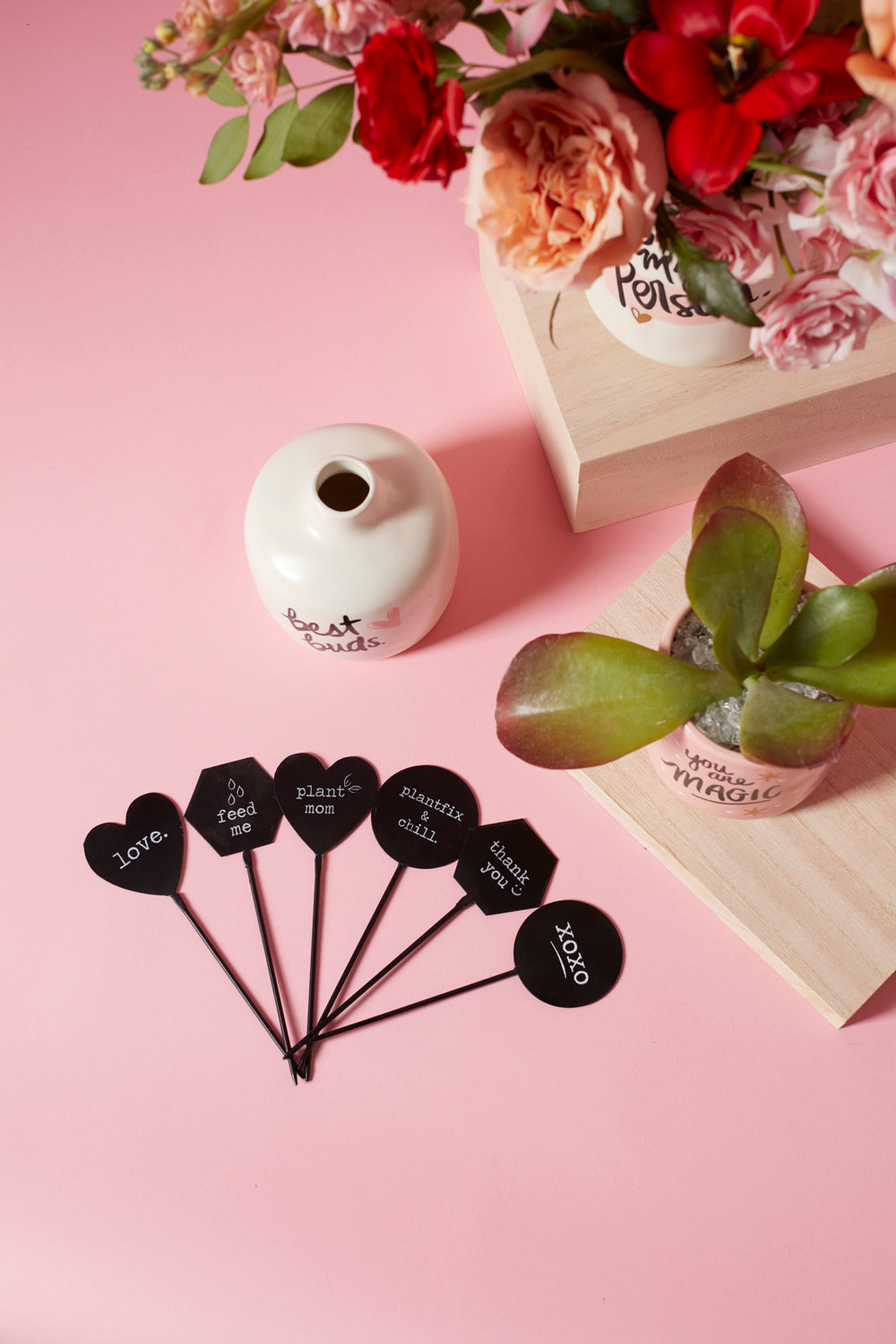 Friendly Phrases Plant Stick