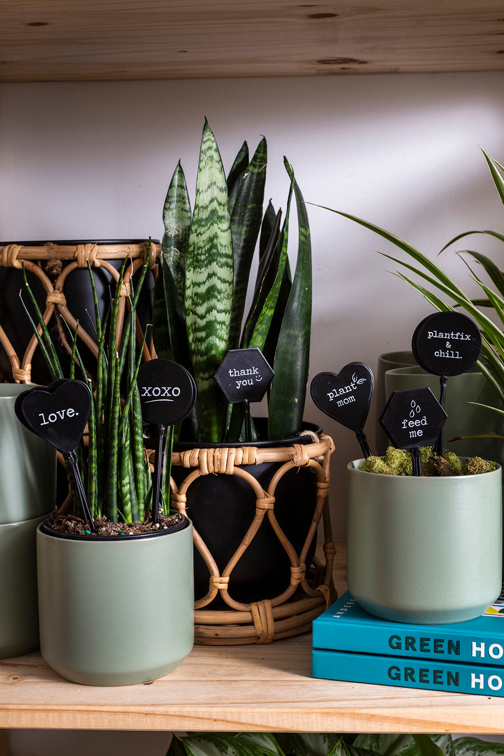 Friendly Phrases Plant Stick