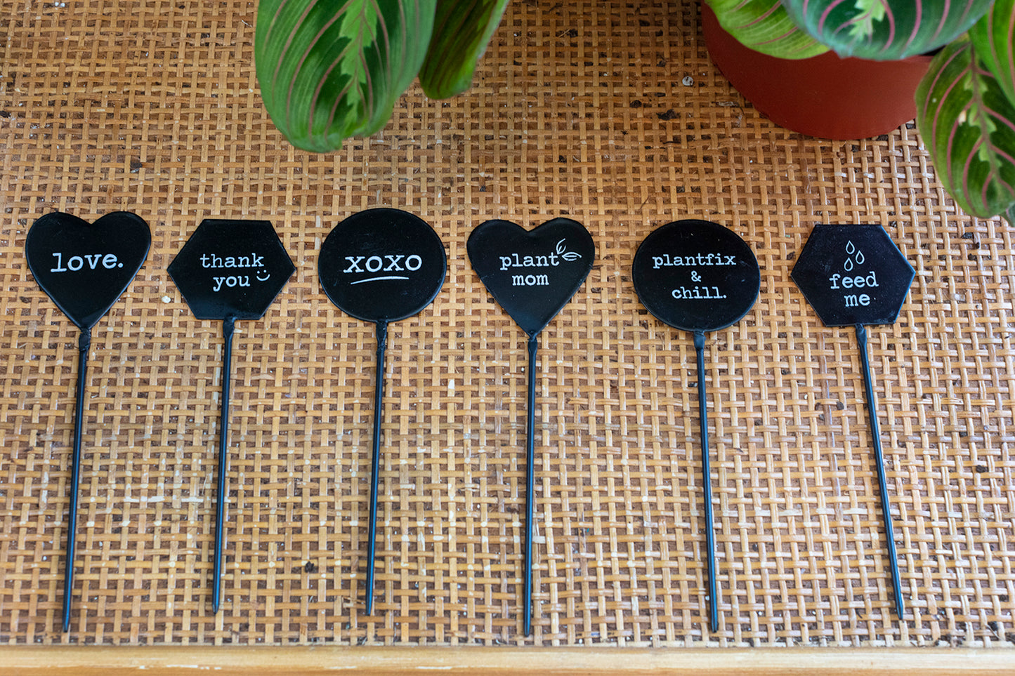 Friendly Phrases Plant Stick