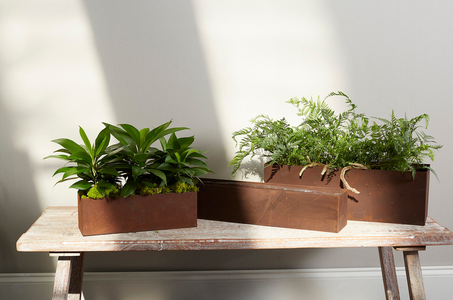 Galveston Planter