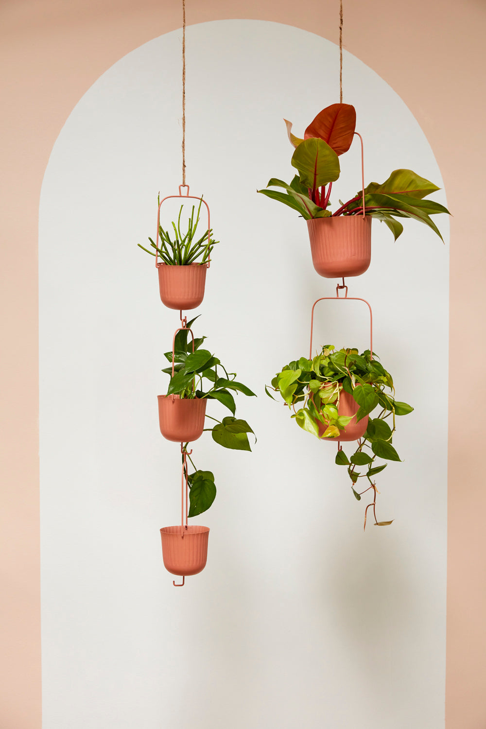 Gemini Hanging Pot