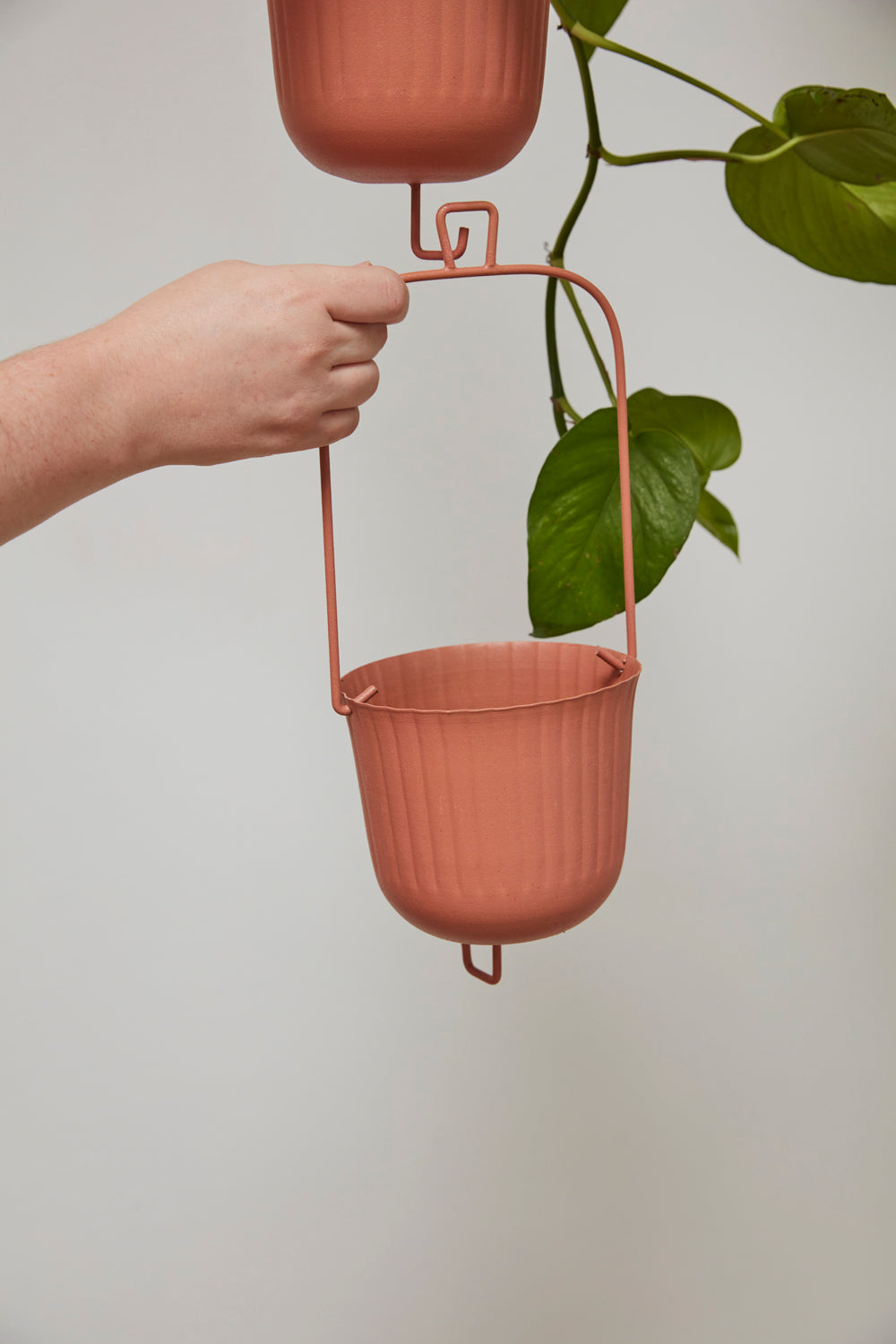 Gemini Hanging Pot