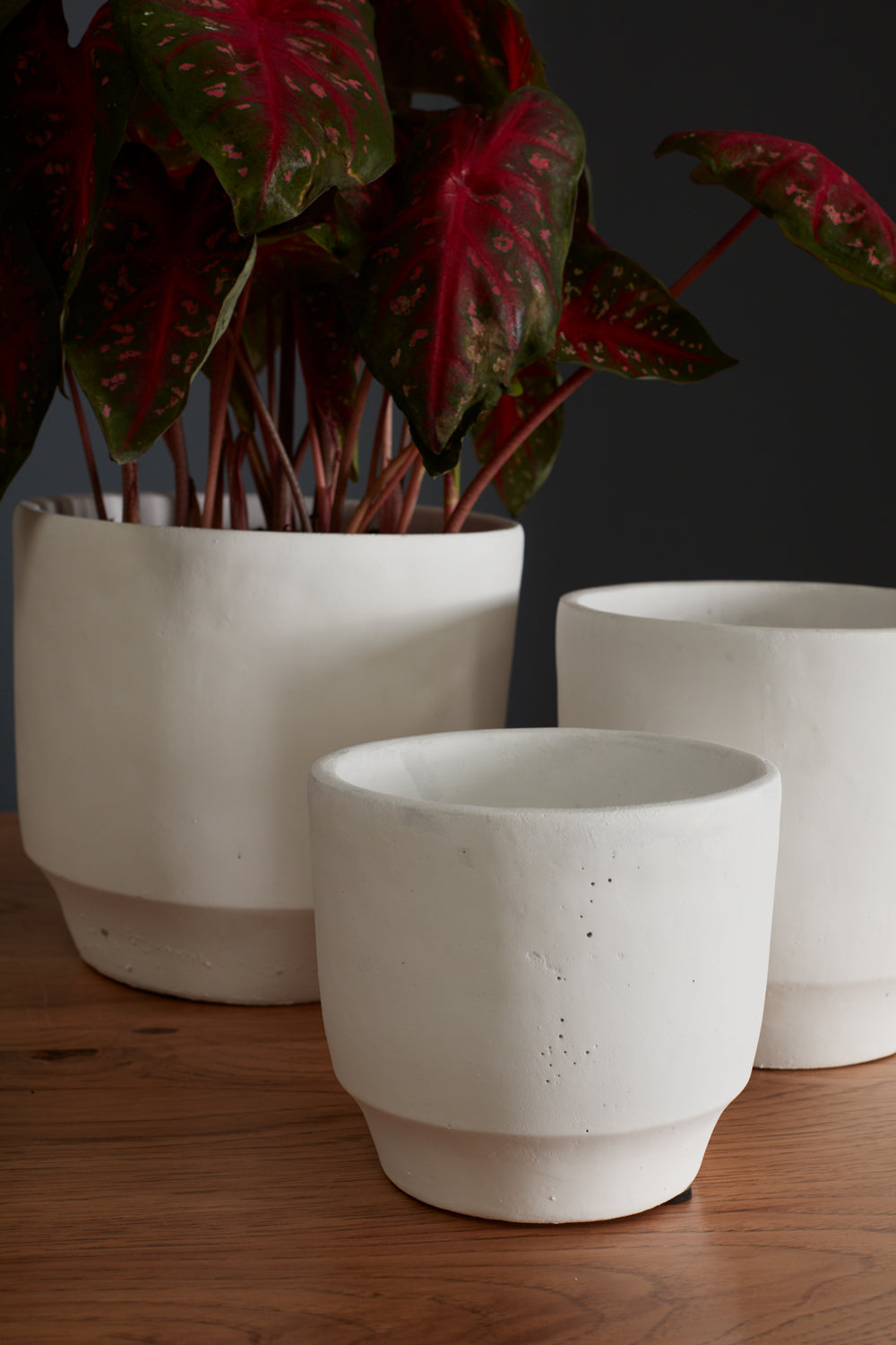 Glendale Collection