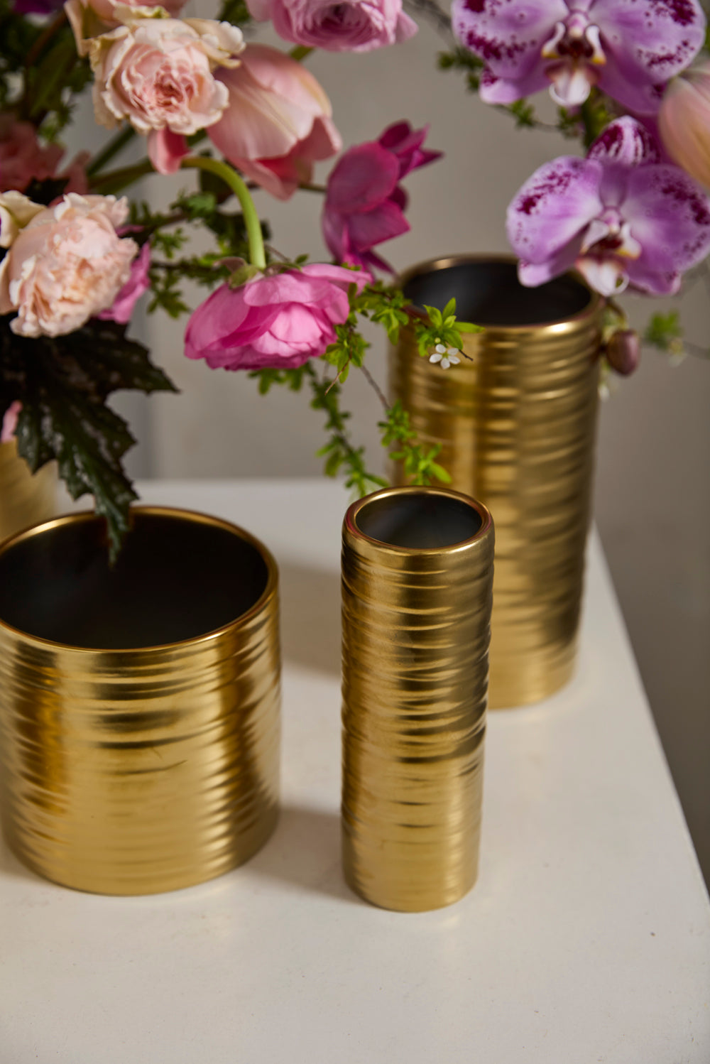 Gold Everest Collection