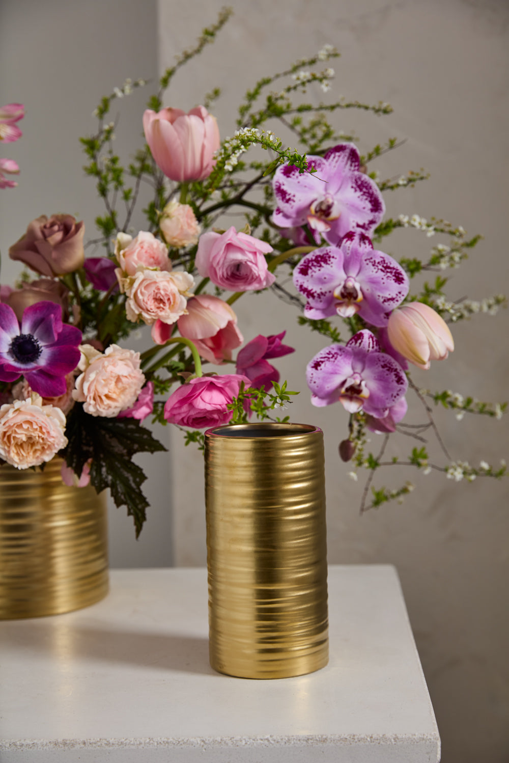 Gold Everest Collection