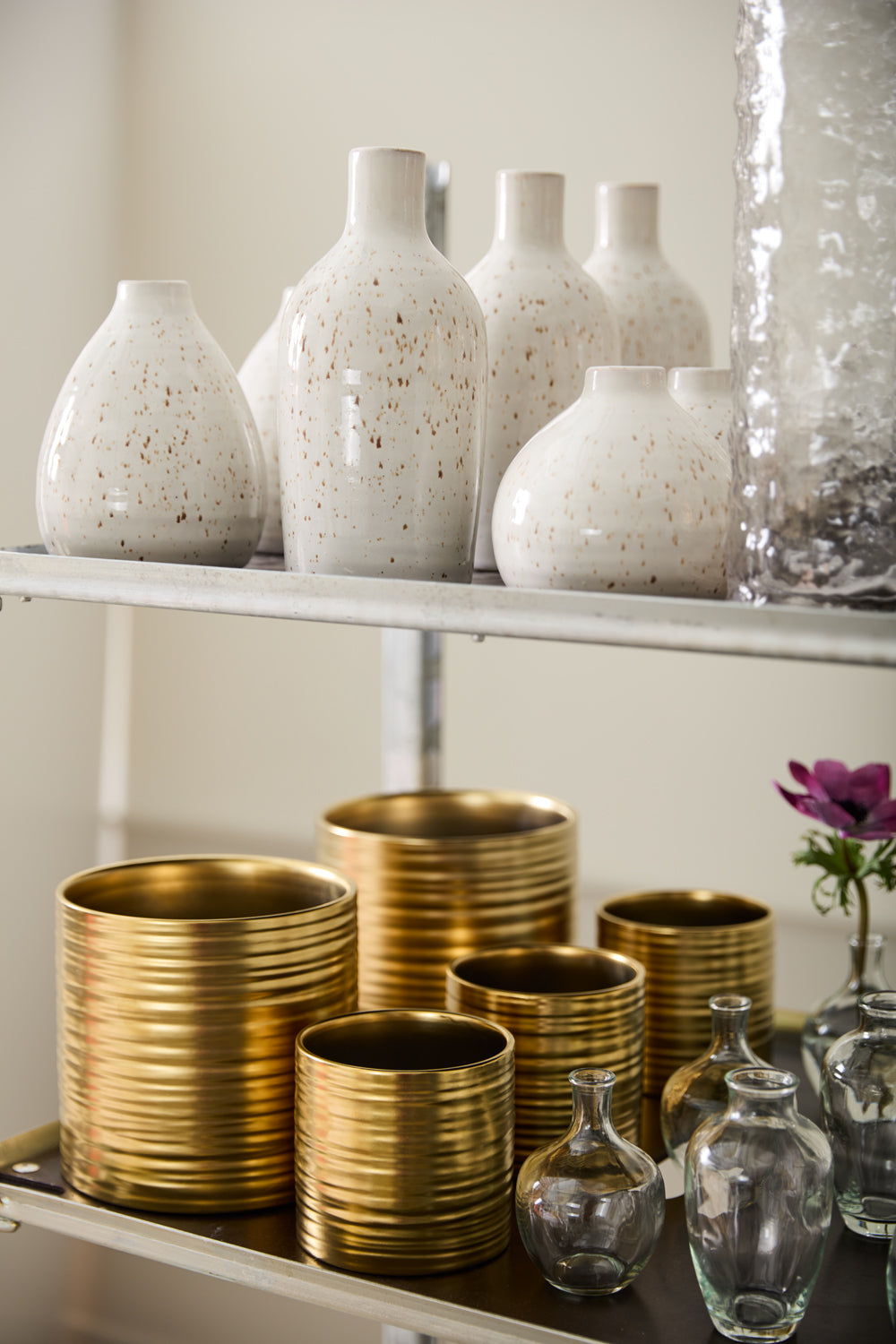 Gold Everest Collection