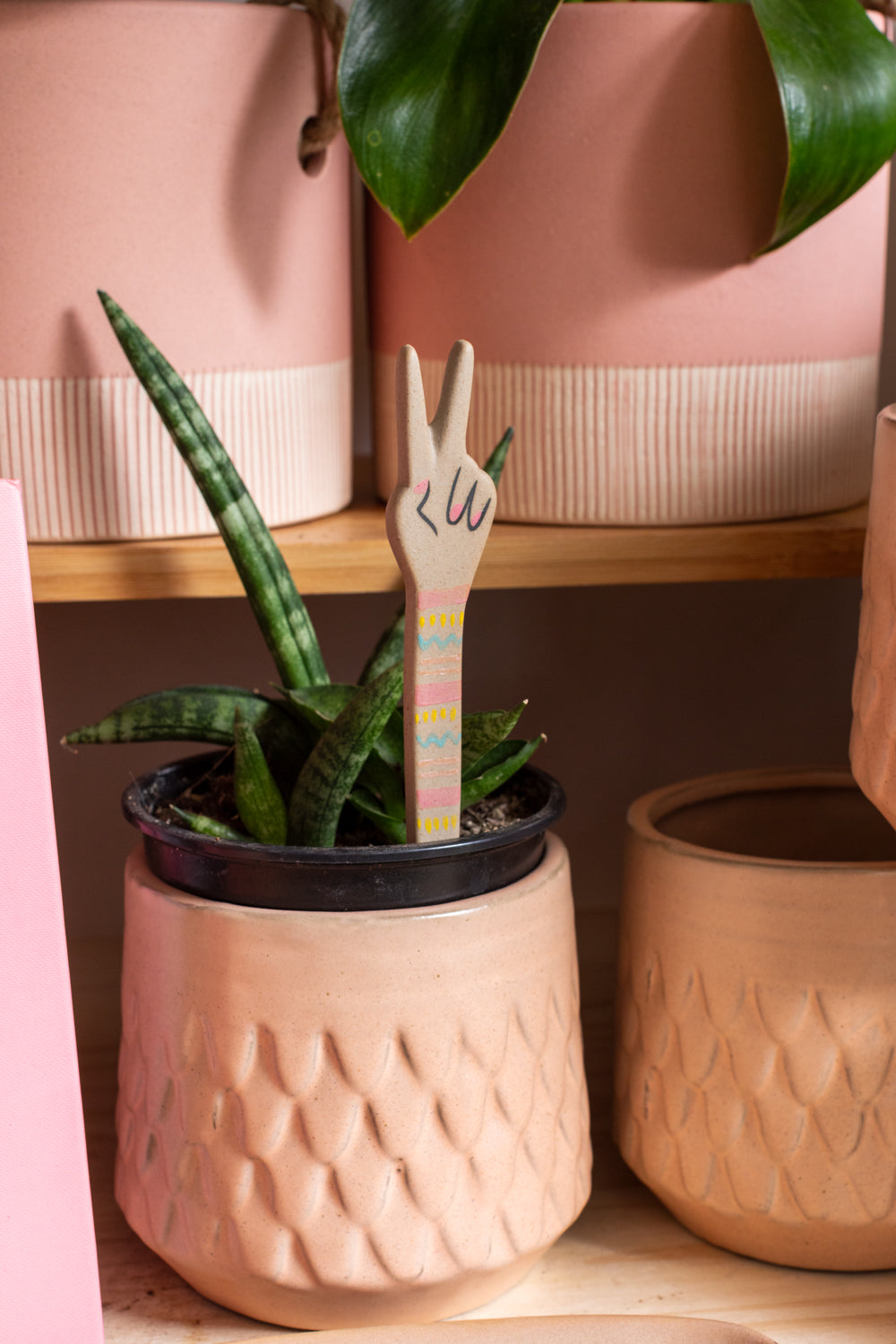 Goodwill Plant Stick