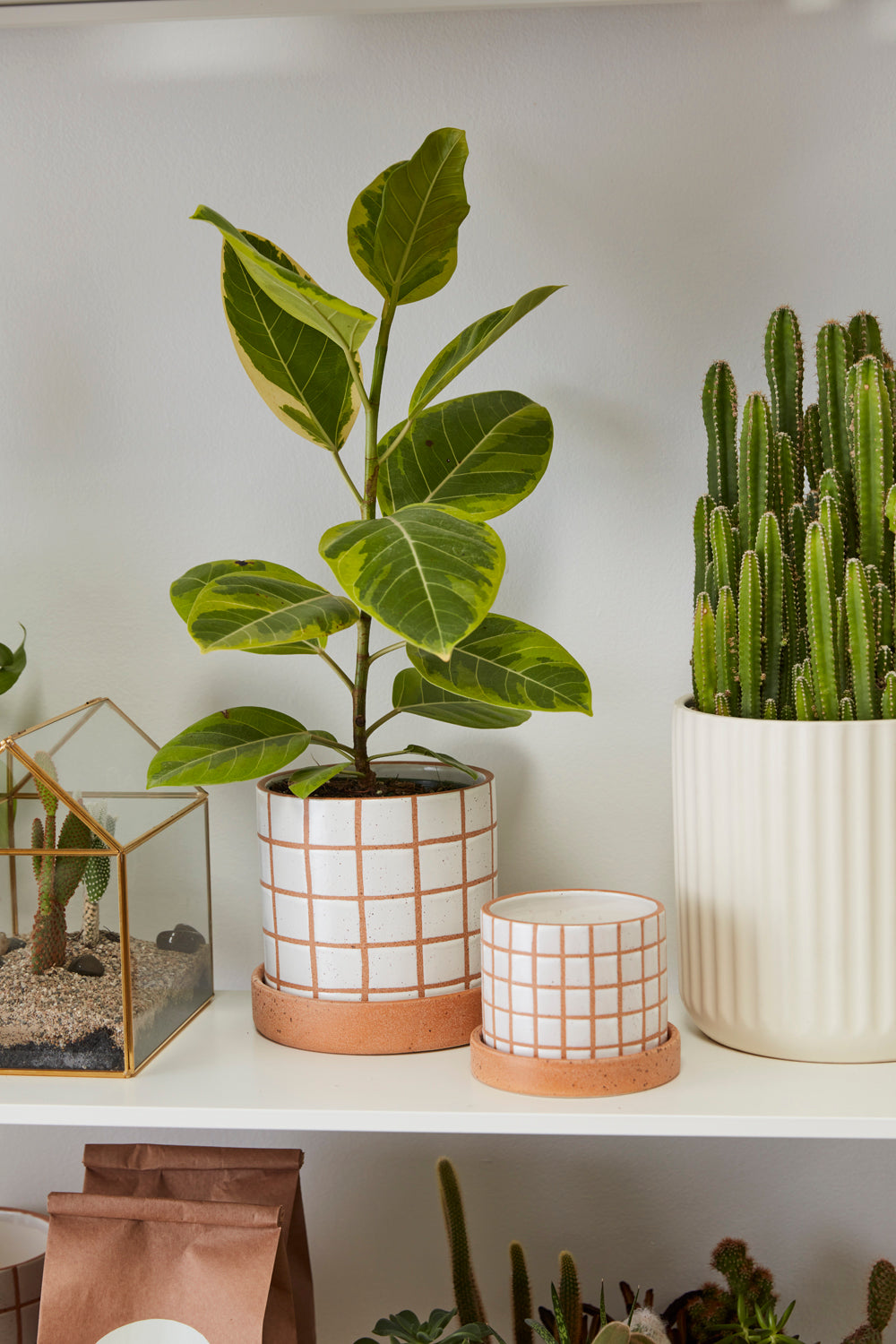 Grid Line Pot with Saucer