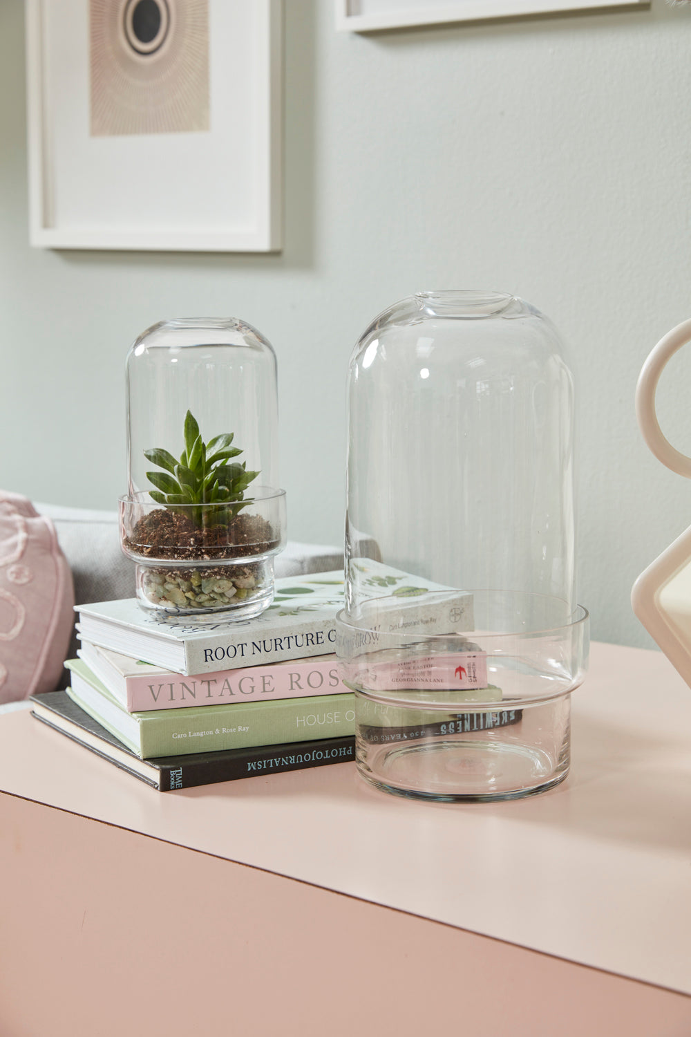 Griffith Terrarium