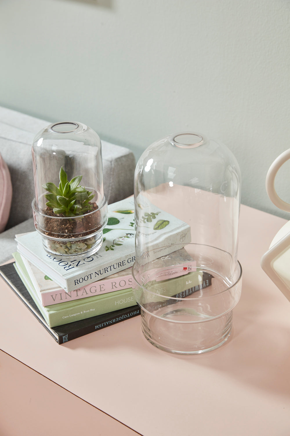 Griffith Terrarium