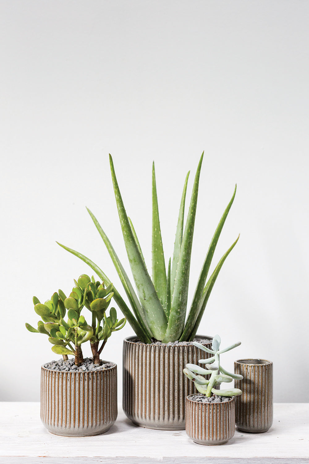 Habitat Collection