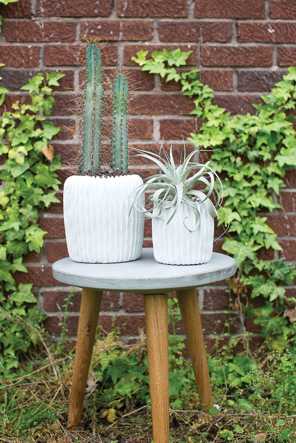 Haven Vase