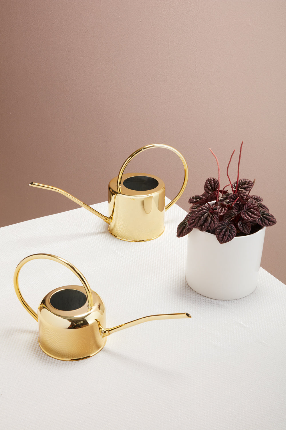Henri Watering Can
