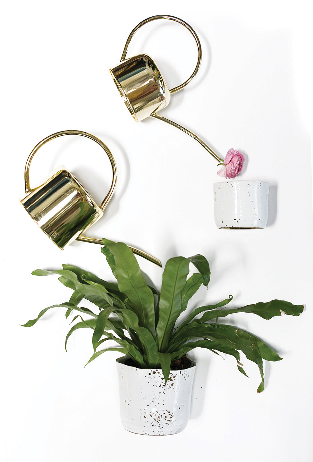 Henri Watering Can