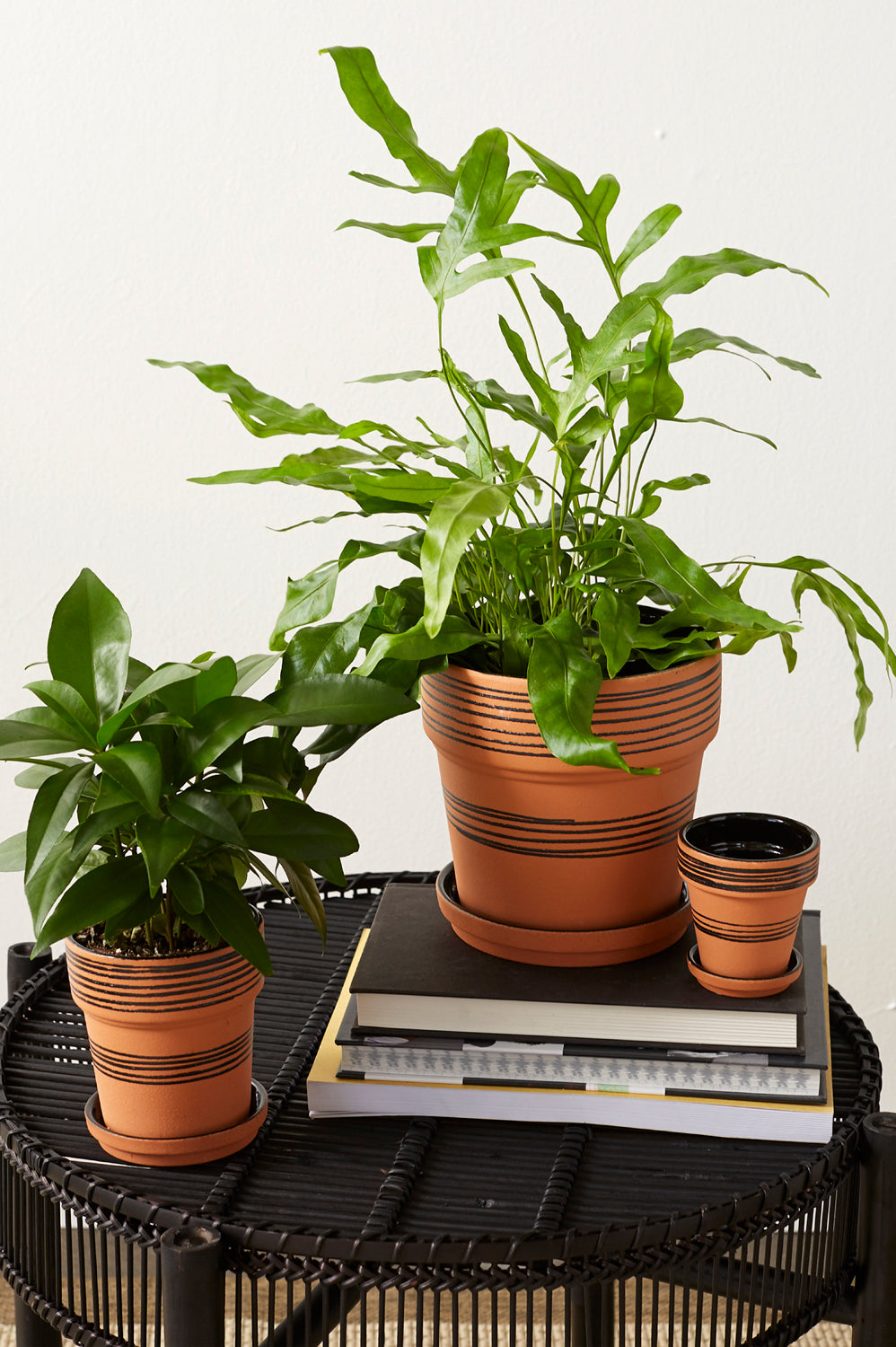 Herati Pot