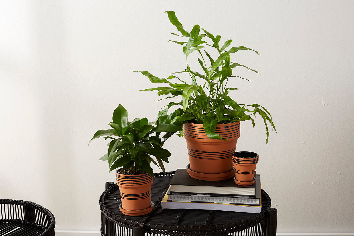 Herati Pot