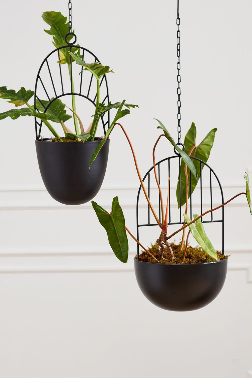 Hestia Hanging Pot