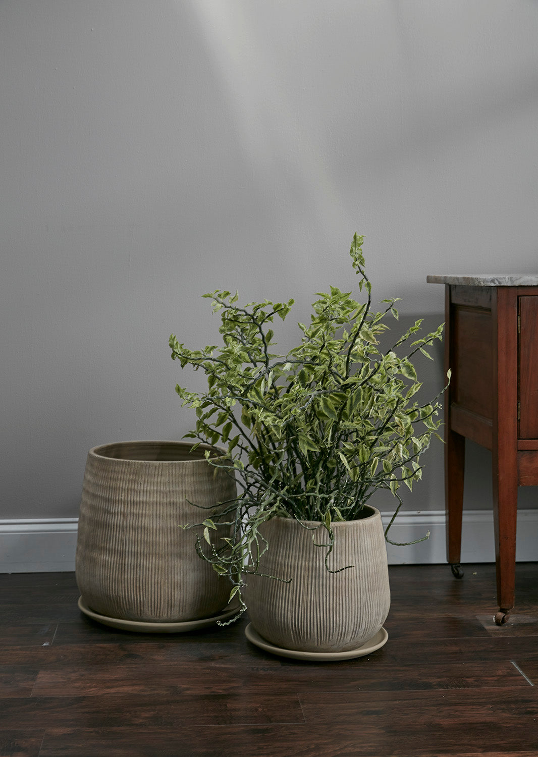 Holt Pot