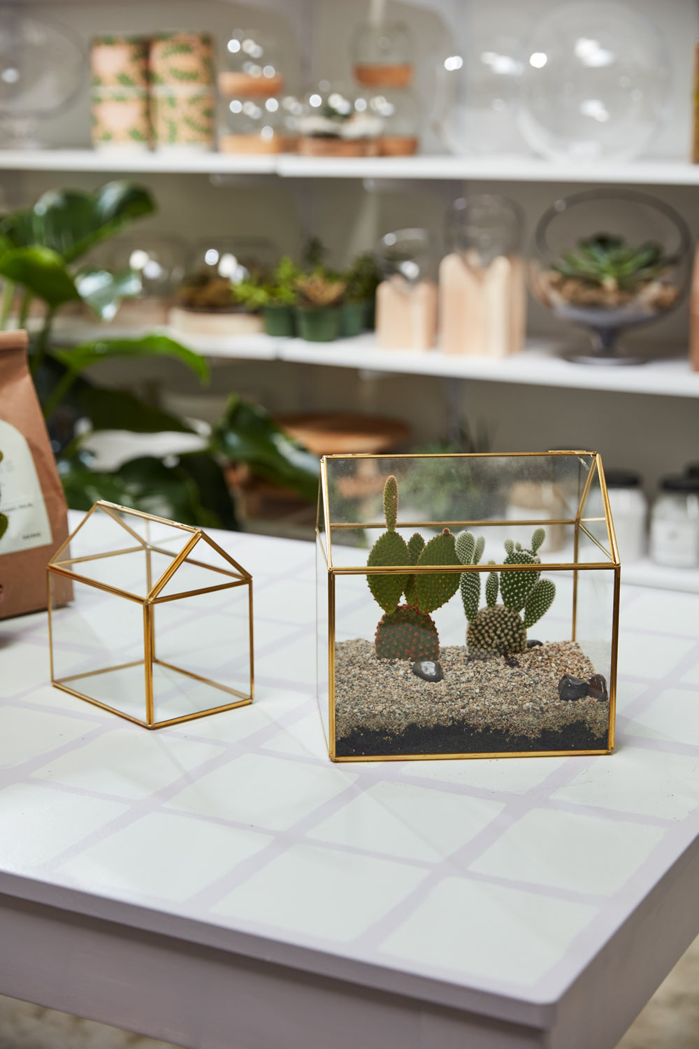 Hurley Terrarium