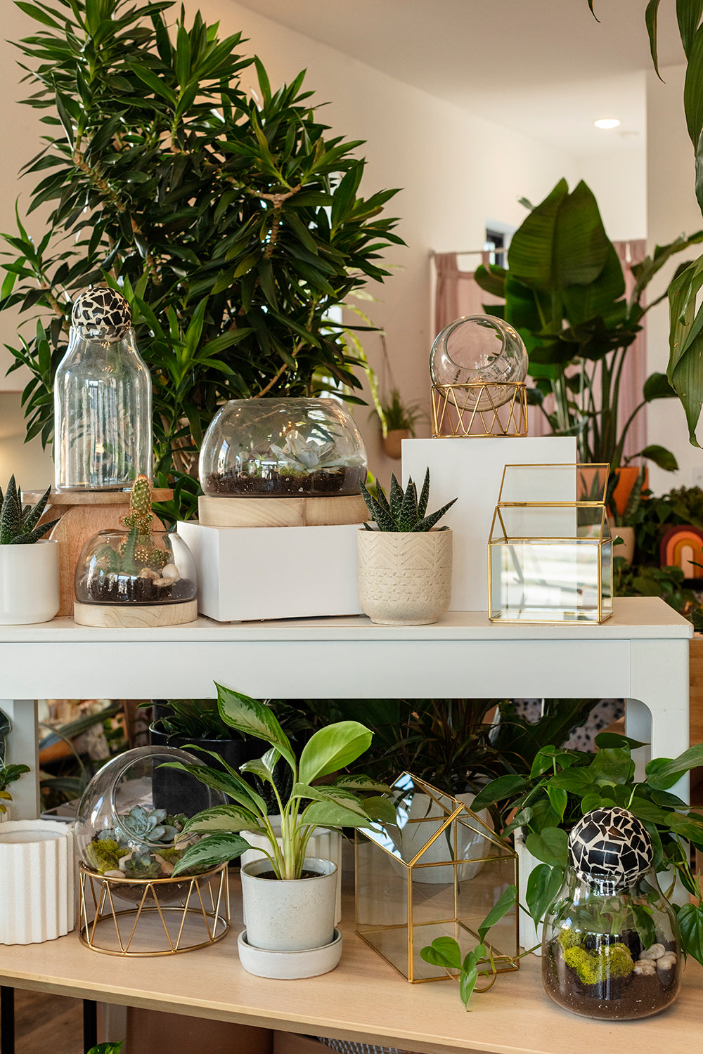 Hurley Terrarium