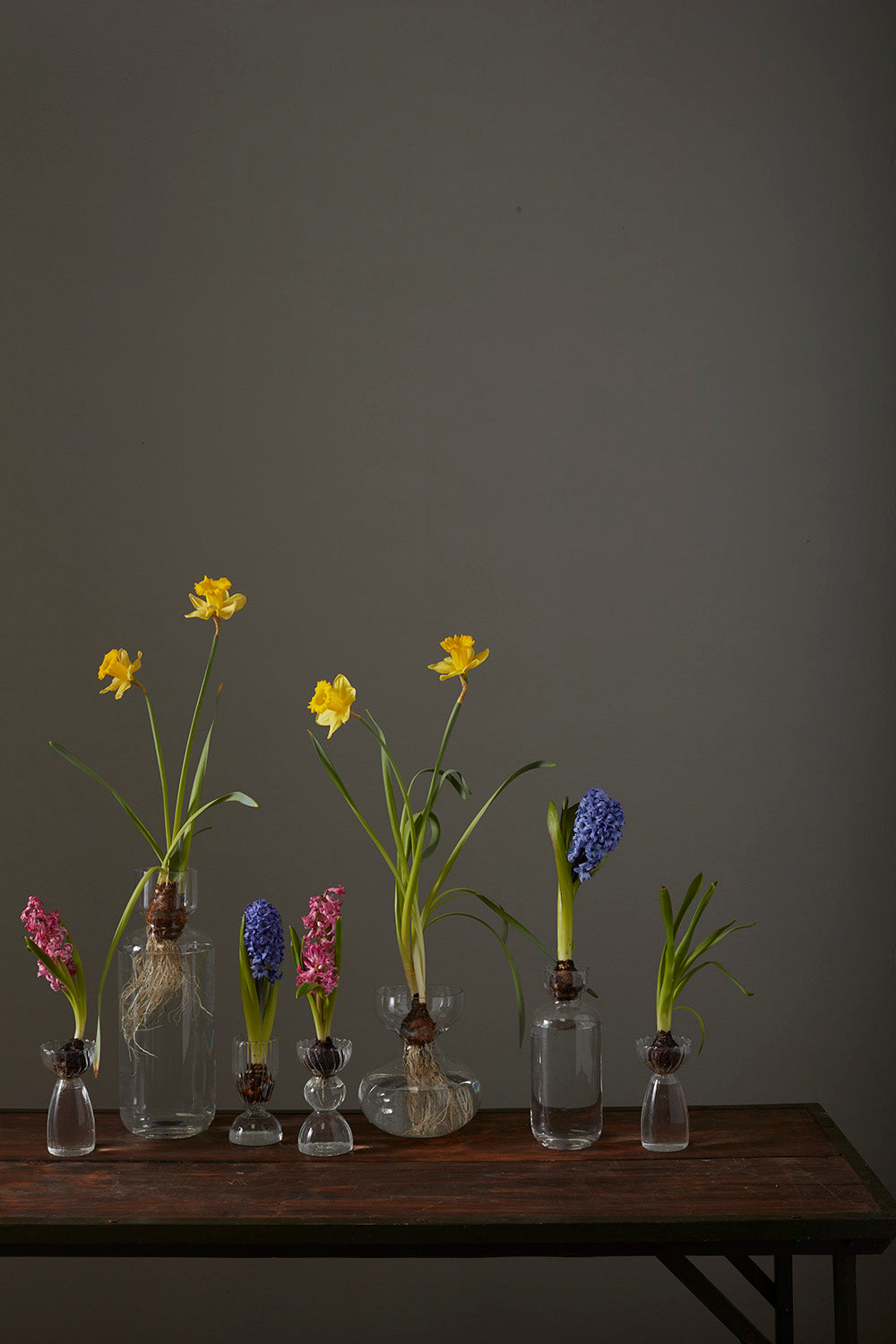 Hyacinth Vase