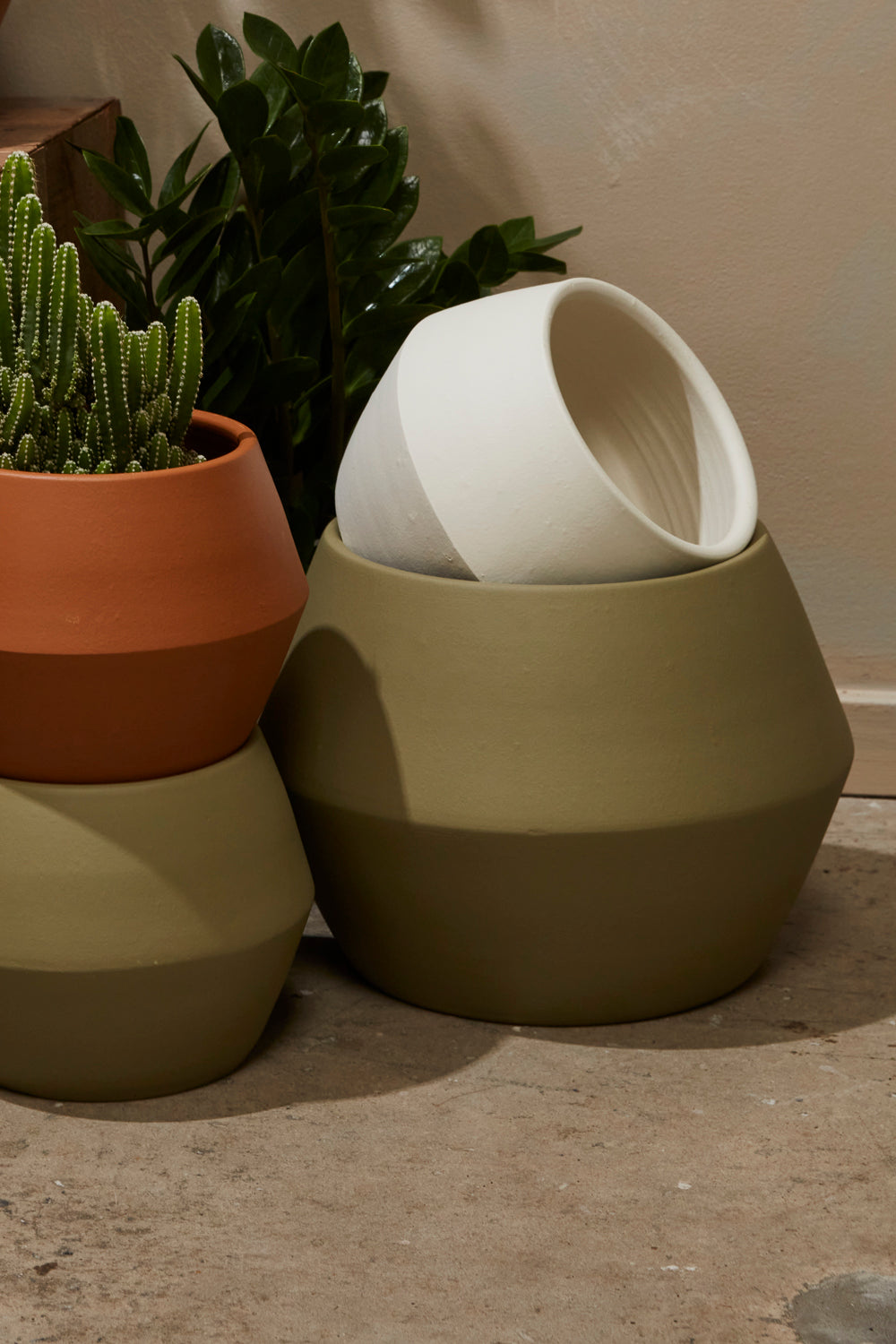 Hydra Pot