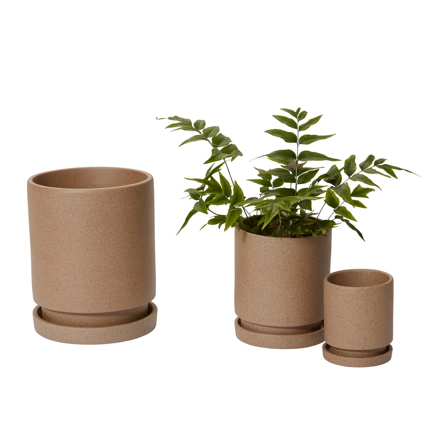 Imogen Pot