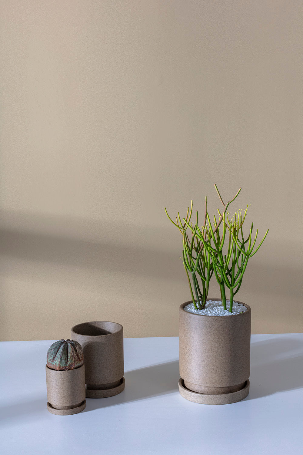Imogen Pot