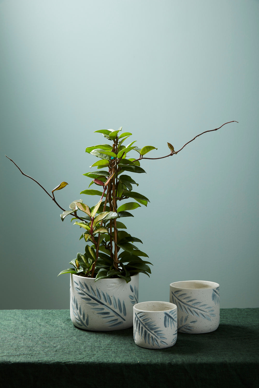 Imprint Pot