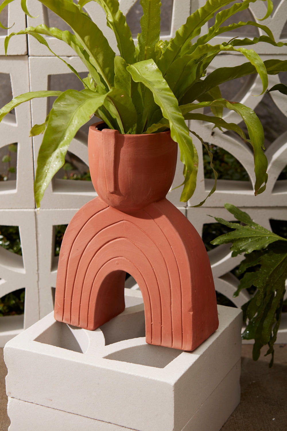 Jacinto Planter