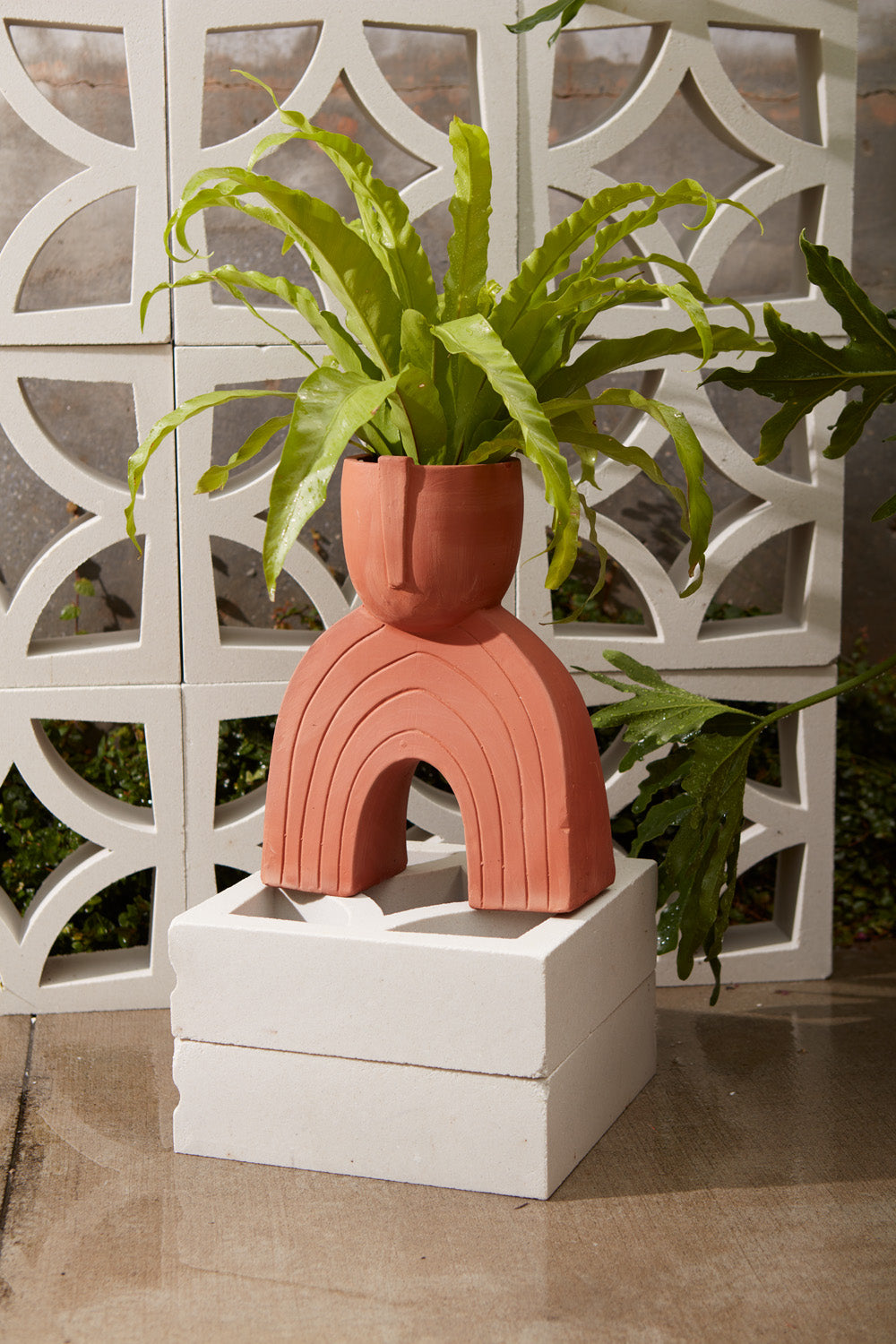 Jacinto Planter