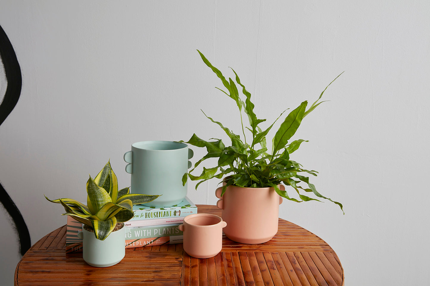 Jamye Pot