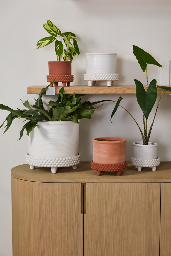 Jane Footed Pot