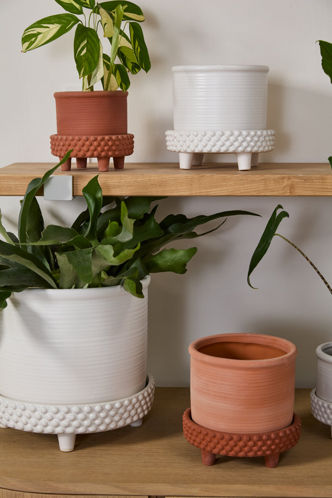 Jane Footed Pot