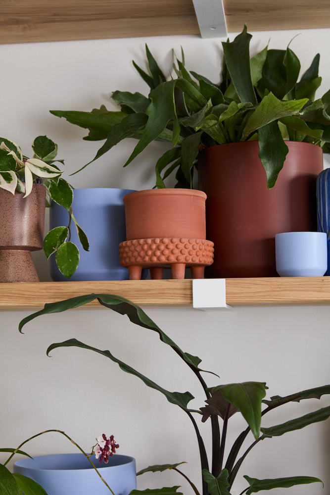 Jane Footed Pot