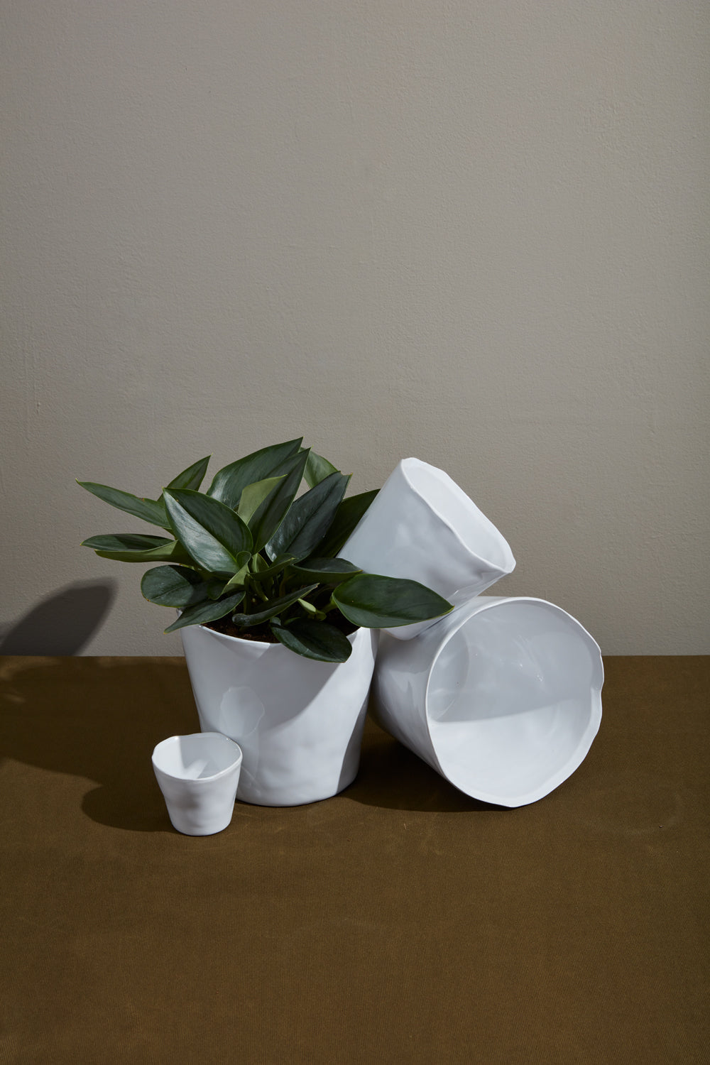 Journey Pot