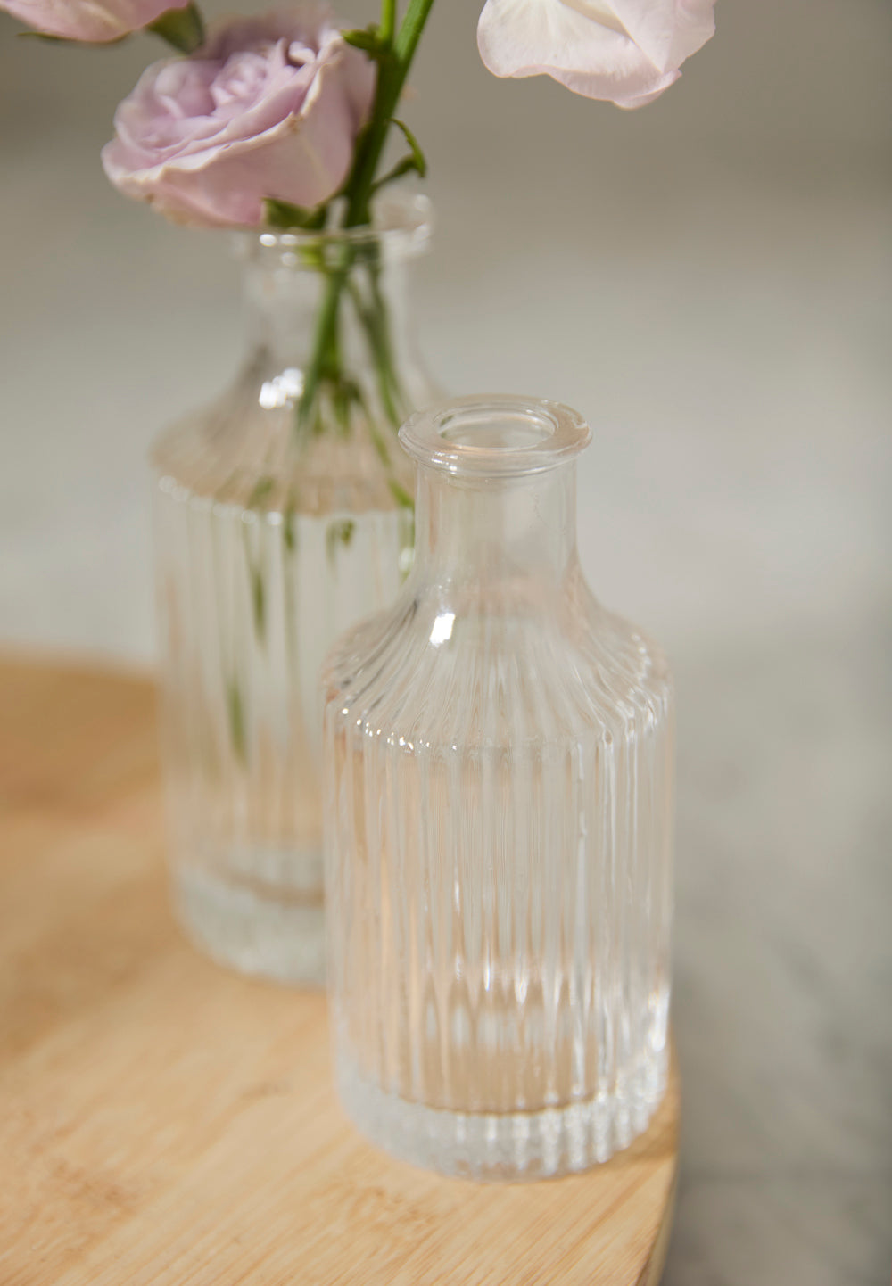 Karina Budvase