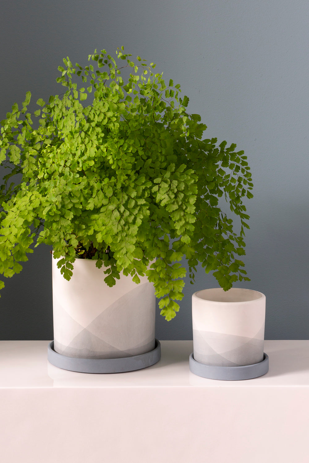 Keppel Pot