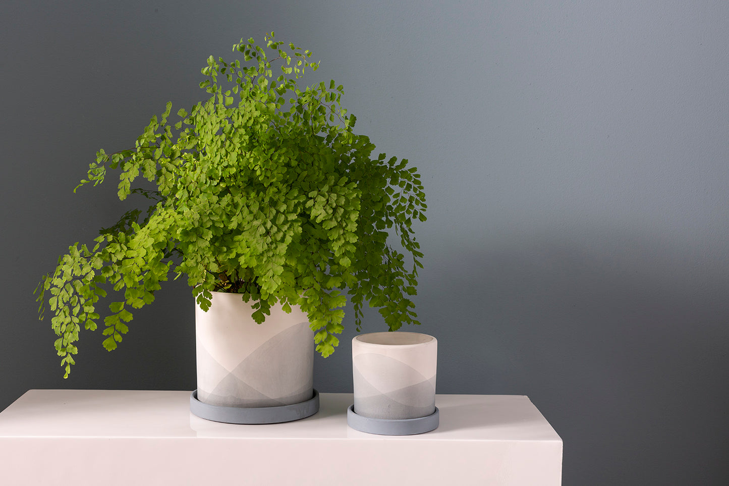 Keppel Pot