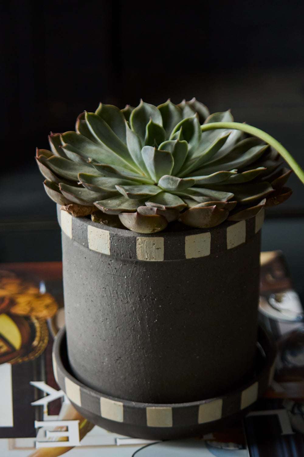 Kimo Pot with Saucer