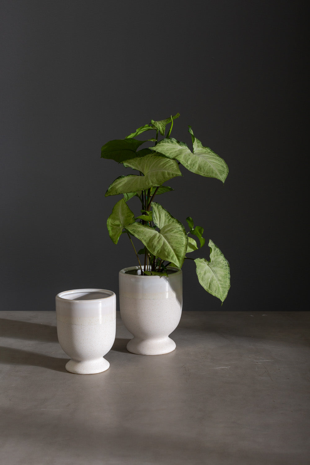 Laney Vase