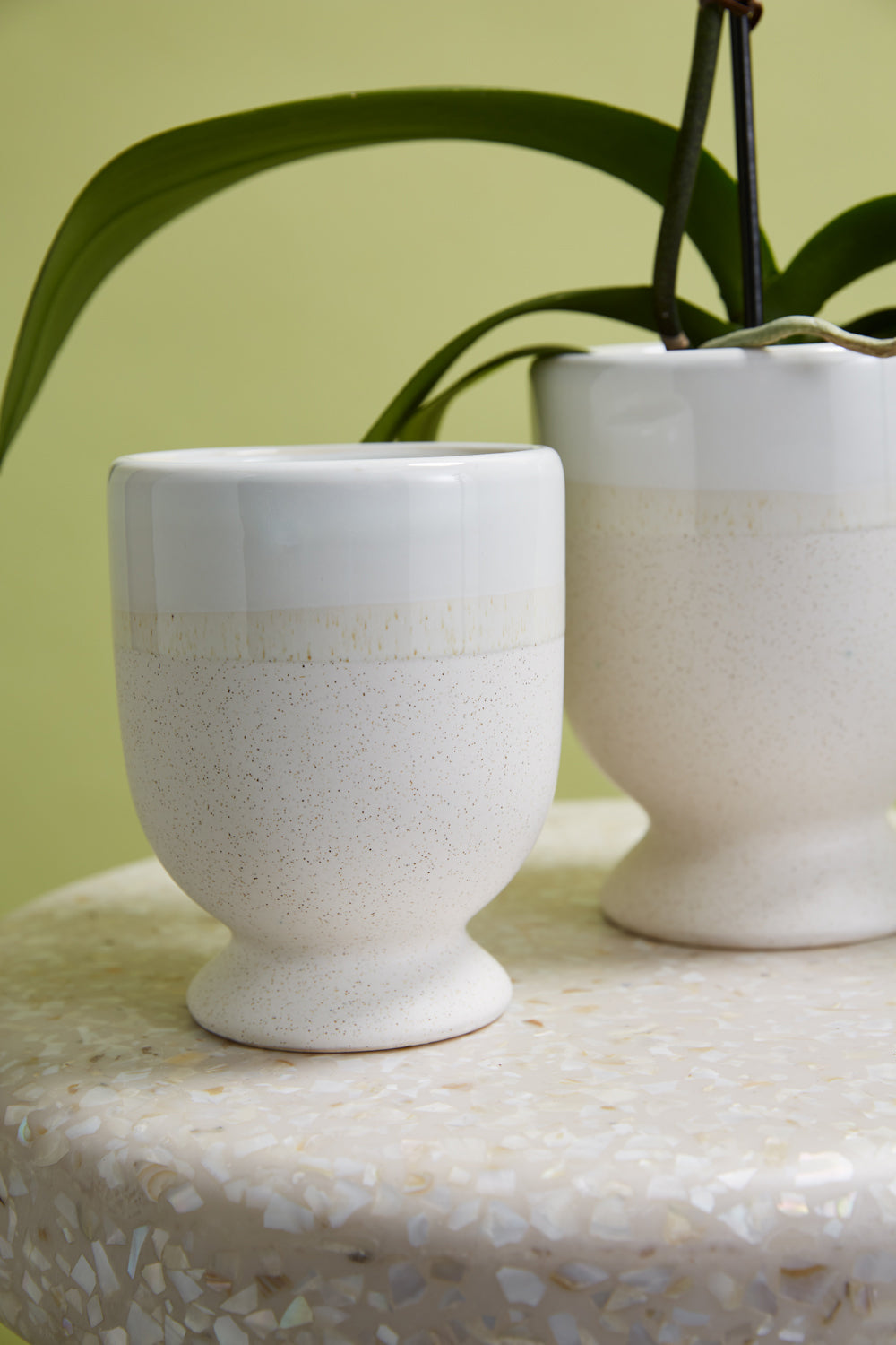 Laney Vase