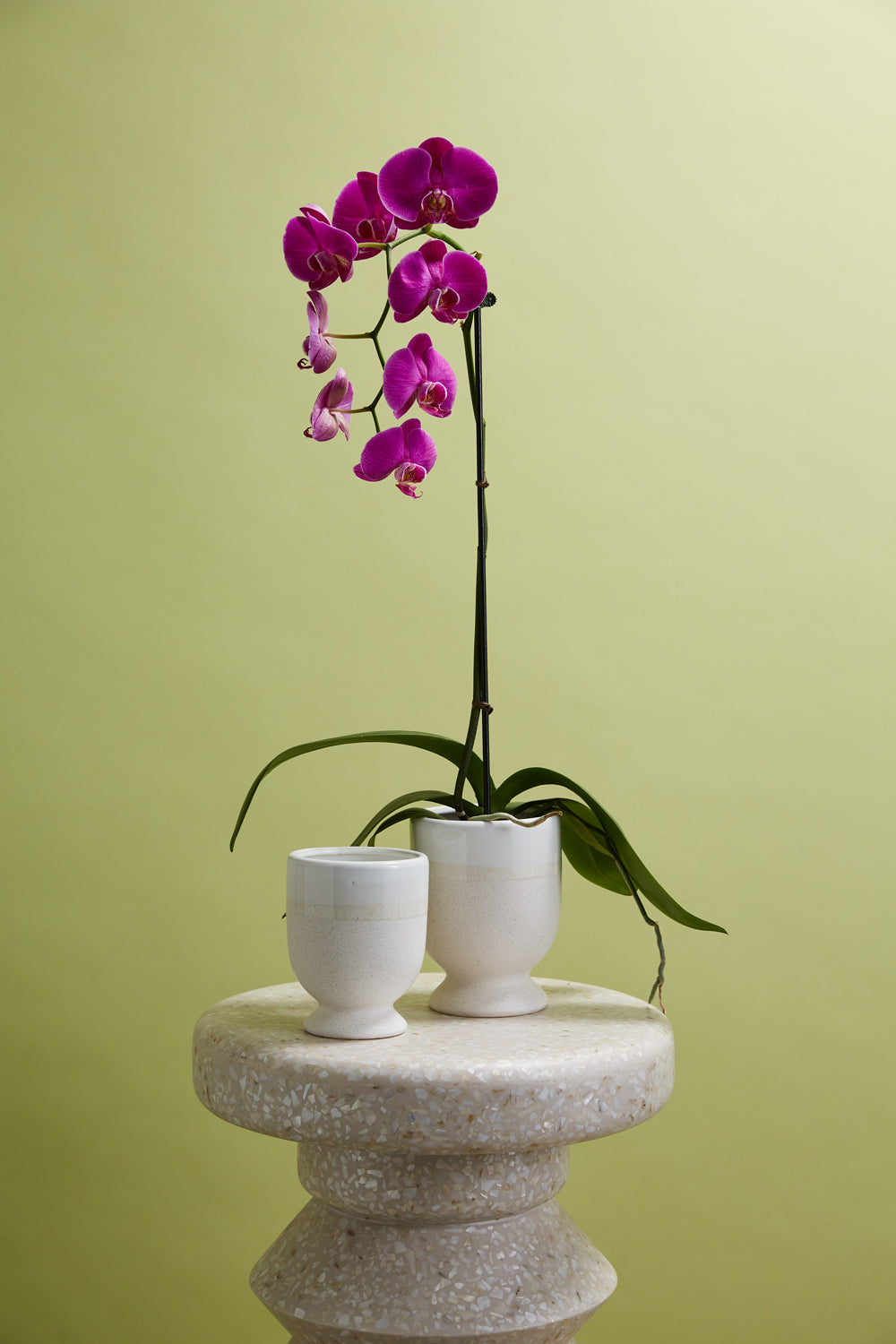 Laney Vase